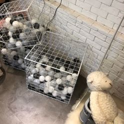 手部美甲-Sakura Nail Studio美甲美睫