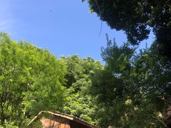 -常德桃花源景区