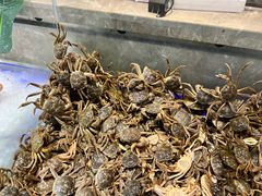-悦橙烤肉海鲜自助(中央大街店)