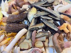 -草墩罗非鱼庄•野生菌•腊排骨(七星街上段店)