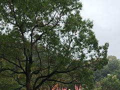 -陶祖圣境风景区