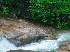 -广州白江湖森林公园