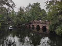 -桂湖森林公园