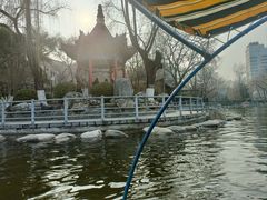 -莲湖公园