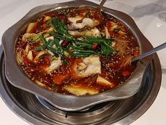 -乡土特色.冷锅鱼.牦牛肉汤锅