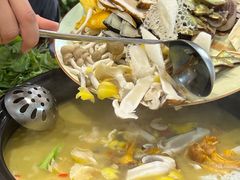 -菌之家·专业纯野生菌火锅·特色炒菌