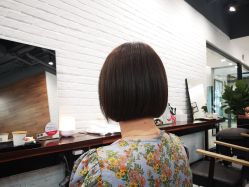 -程Studio
