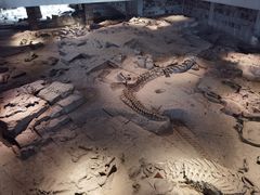 -自贡恐龙博物馆