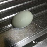 新鲜美味可口且营养丰富的炒荷包蛋