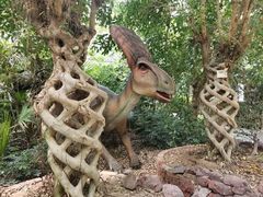 -呀路古热带植物园