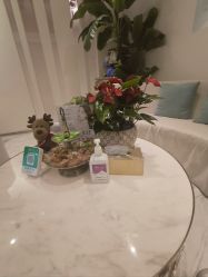 -健身堂科技美肌SPA