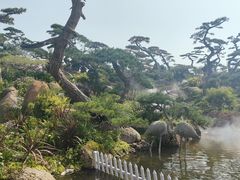 -罗红摄影艺术馆