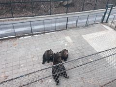 -大连森林动物园