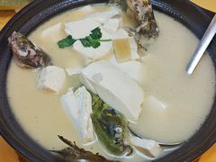-鑫福楼农家菜