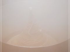 -咕嘟草帽鱼·牛奶一样的鲜鱼汤(包河万达广场创始店)