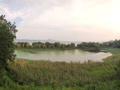 -上海市保健医疗中心