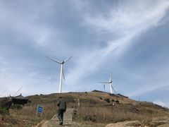 -东白山
