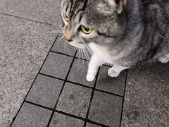 -大米先生(光电园店)