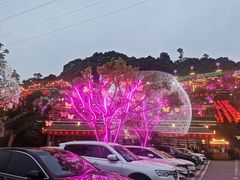 -枇杷园食为鲜火锅(南山店)