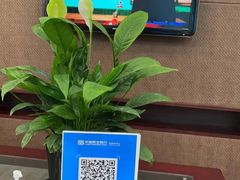 -中国民生银行(上海七宝支行)