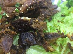 -老毛手抓·盐池滩羊非遗手抓(宁夏总店)