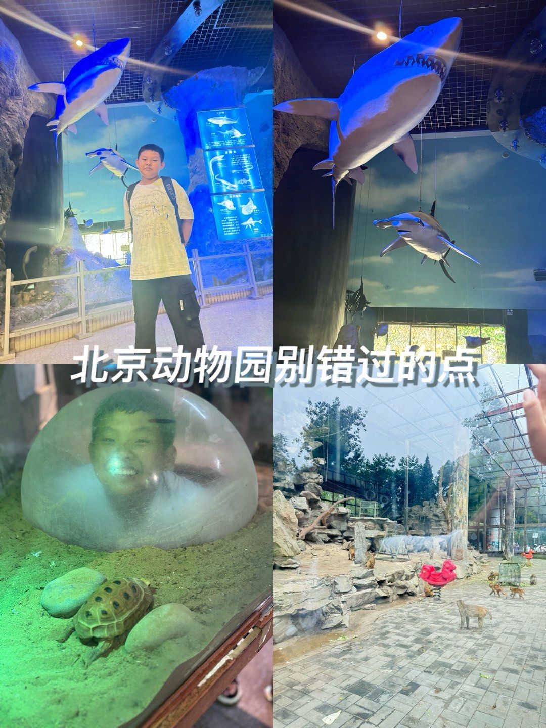 去了两次,才发现北京动物园李还有个室内动物馆