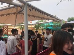 -青岛方特梦幻王国