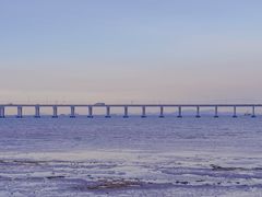 -宝安西湾红树林湿地公园