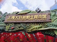 -上海大自然野生昆虫馆(东方明珠·爬宠昆虫探索中心)