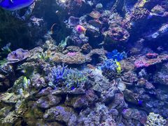 -大连老虎滩海洋公园