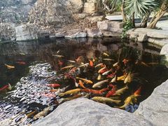 -龙达温泉生态城