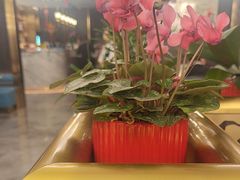 -玉林烤鸭店(垡头店)