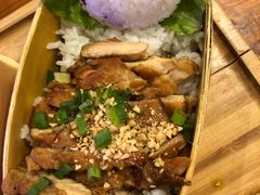 -猫小院猫主题餐厅(三里屯店)