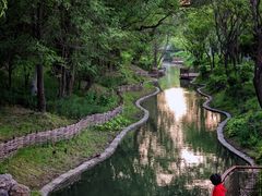 -北坞公园