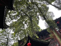 -青城山
