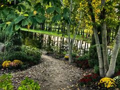 -上海共青森林公园