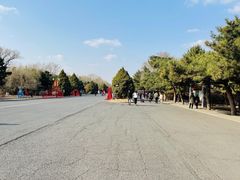 -北陵公园