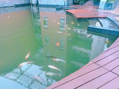 -华东师范大学第二附属中学(张江校区)