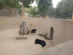 -保定市动物园