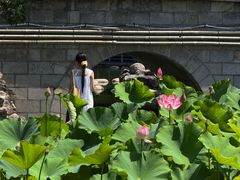 -莲湖公园
