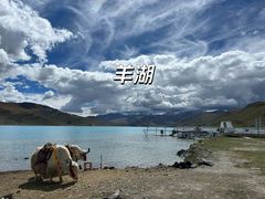 -布达拉宫