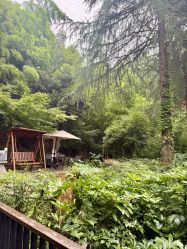 点击看大图 -尚圣月子会所·庄园式月子中心(萧山湘湖店)