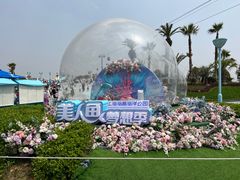 -上海海昌海洋公园