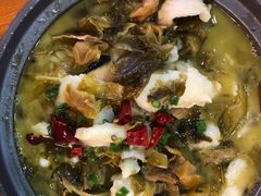 -周鱼小馆石锅酸菜鱼(活力汇店)