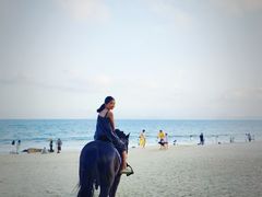 -玫瑰海岸文化旅游度假区