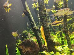 -成都浩海立方海洋公园