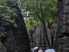 -梭布垭石林景区