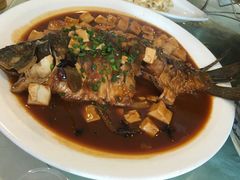 -丁老爷子苏香圆