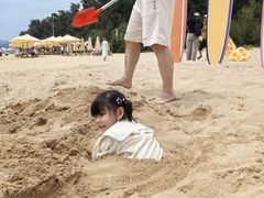 -大京沙滩