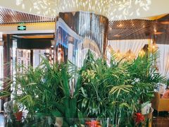 -润园四季椰子鸡火锅(海上世界店)